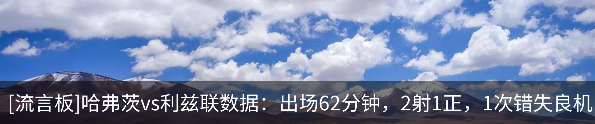 新闻动态